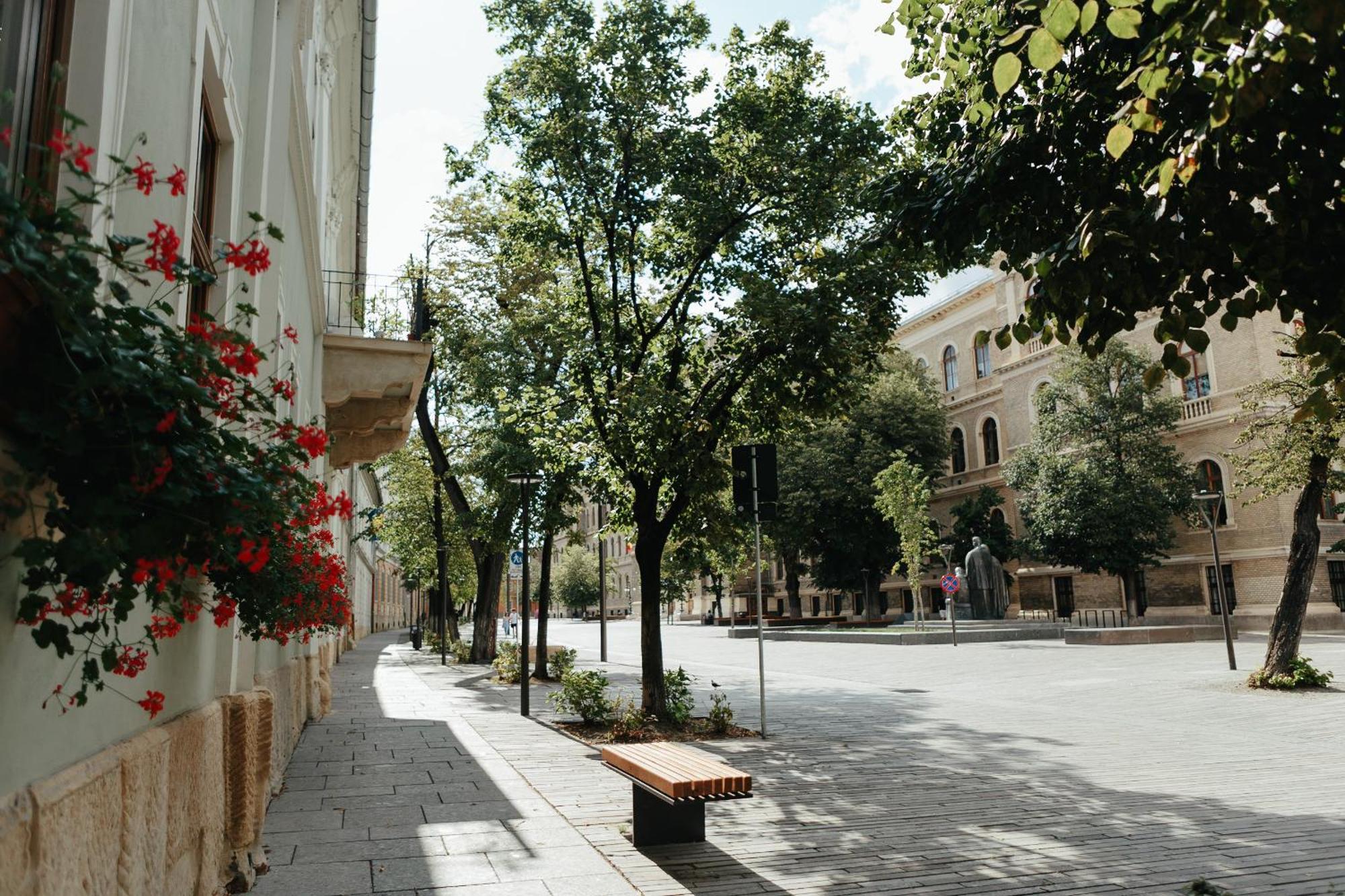 Contessa Central Studio Cluj-Napoca Exterior photo