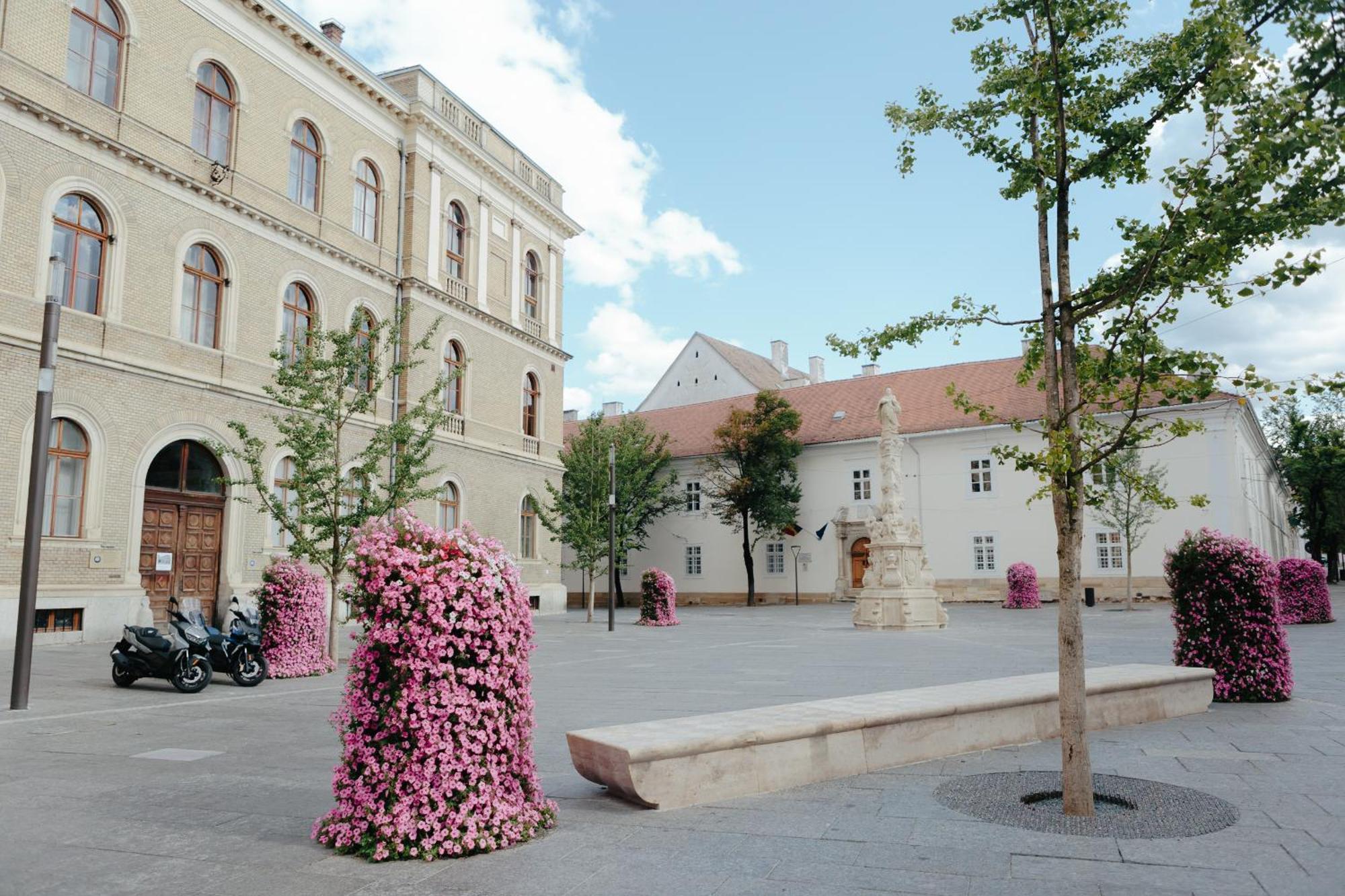Contessa Central Studio Cluj-Napoca Exterior photo